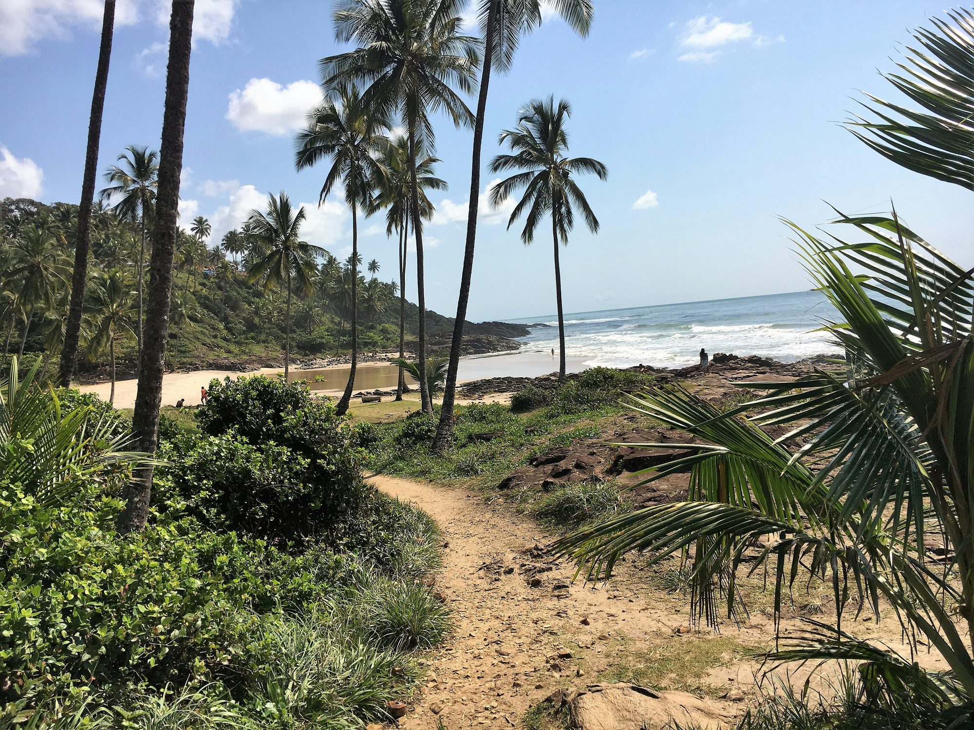 Itacaré jungle coast, Bahia
